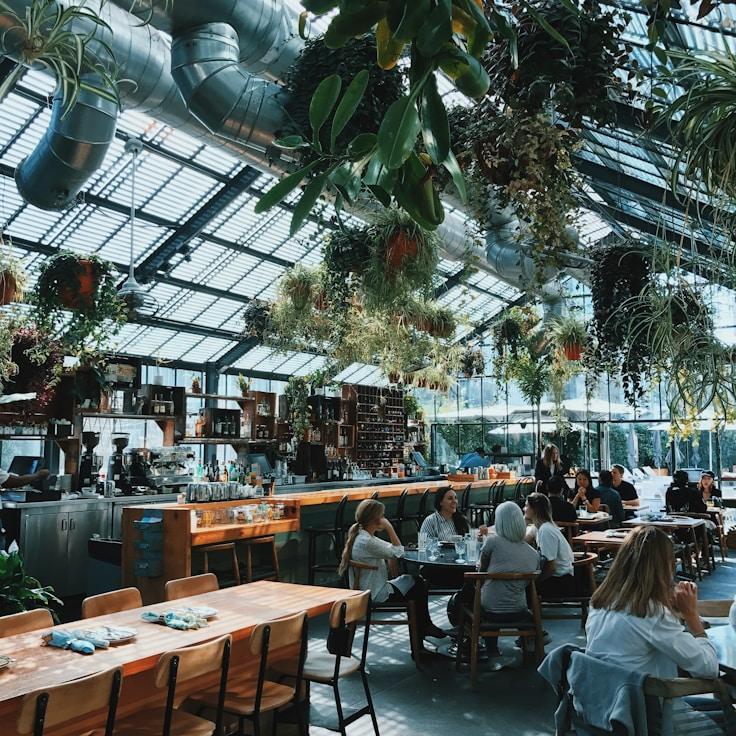 Parks and entertainment for families in New York, United States